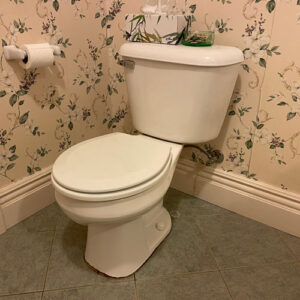 Toilet Repair - Replacement
